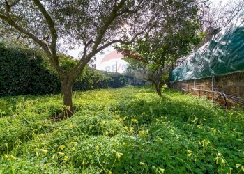 Terreno - Terreno agricolo via Ragosia, Valderice - foto 1