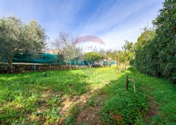 Ulivi - Terreno agricolo via Ragosia, Valderice - foto 5