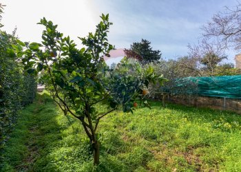 Agrumeti - Terreno agricolo via Ragosia, Valderice - foto 12