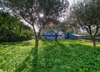 Terreno - Terreno agricolo via Ragosia, Valderice - foto 16