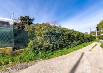 Strada accesso proprietà - Terreno agricolo via Ragosia, Valderice - foto 23