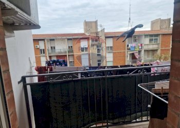 BALCONE - Appartamento Passaggio Petrina
 
9, Palermo - foto 14