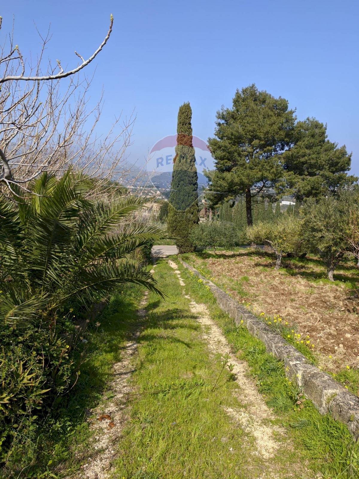 Giardino - Rustico Strada Fraginesi - Costamante, Castellammare del Golfo - foto 1