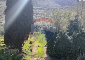Vista delle montagne - Rustico Strada Fraginesi - Costamante, Castellammare del Golfo - foto 8