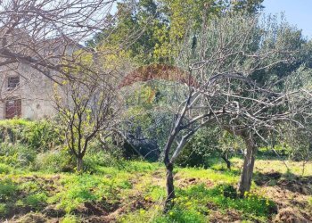 Giardino - Rustico Strada Fraginesi - Costamante, Castellammare del Golfo - foto 9