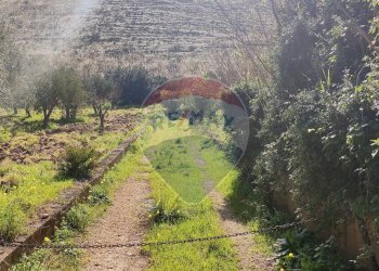 Non correlato - Rustico Strada Fraginesi - Costamante, Castellammare del Golfo - foto 27