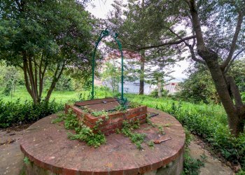 Giardino - Villa via palmitello, Carini - foto 71