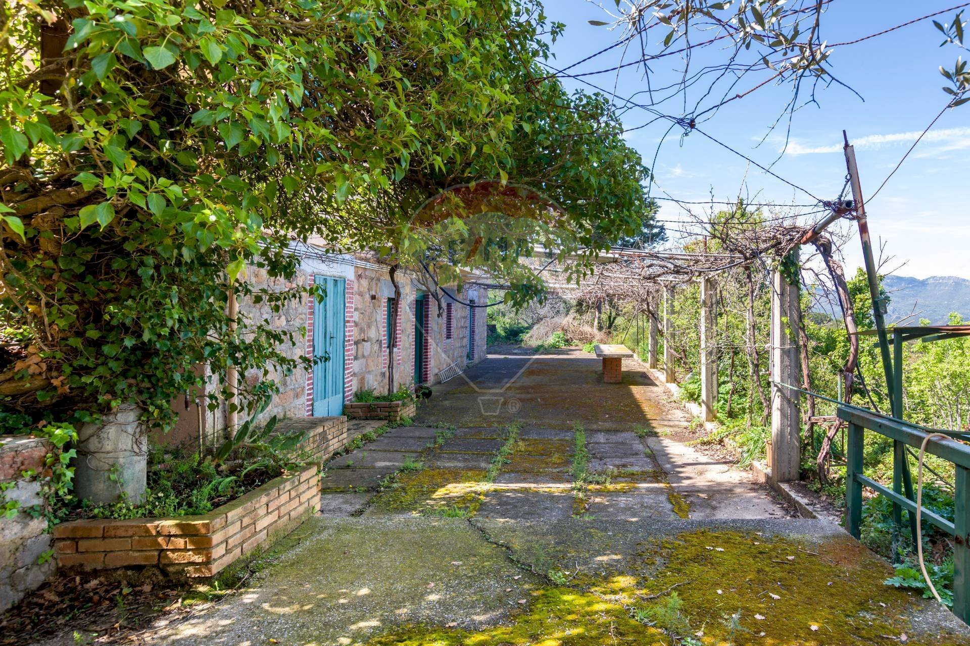 Giardino - Villa Contrada Rovetta, Pollina - foto 2