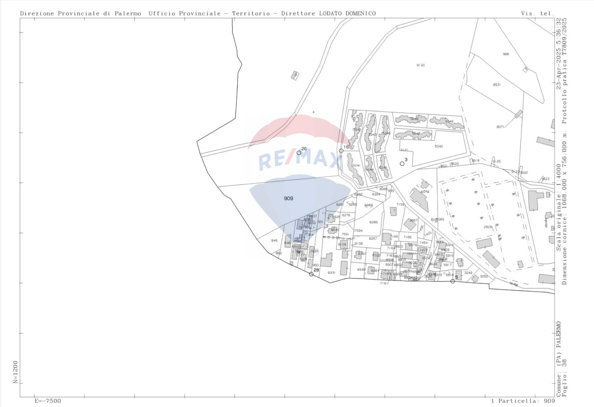 Pianta 2D - Terreno agricolo Via Castellana, Palermo - planimetria 1