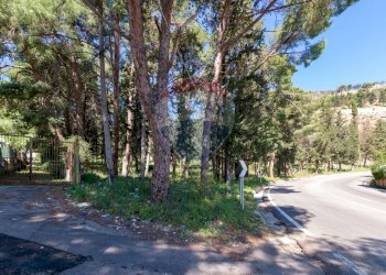 Giardino - Terreno agricolo Via Castellana, Palermo - foto 5