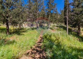 Giardino - Terreno agricolo Via Castellana, Palermo - foto 15