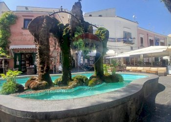 Piscina - Bilocale Via San Giovanni
 
6, Forio - foto 31