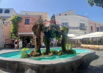 Piscina - Quadrilocale Via San Giovanni
 
6, Forio - foto 3