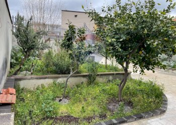 Giardino - Quadrilocale VIA DEI VOLTAIRE
 
SN, Adrano - foto 13