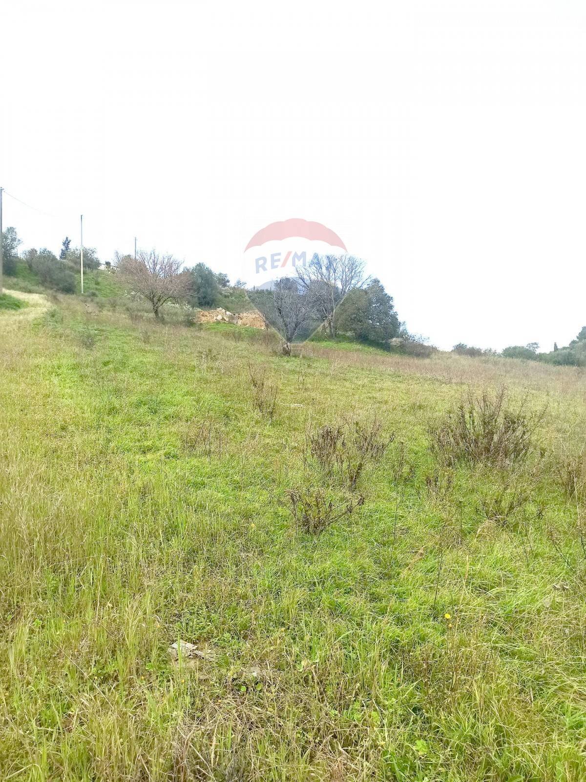 Giardino - Agricultural land Contrada San Marco, SP178, Caltagirone - photo 1