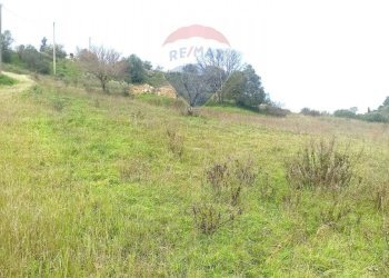 Giardino - Terreno agricolo Contrada San Marco, SP178, Caltagirone - foto 1
