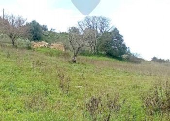 Giardino - Terreno agricolo Contrada San Marco, SP178, Caltagirone - foto 10