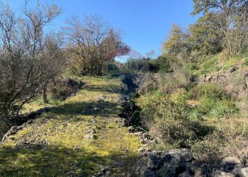 Giardino - Terreno edificabile Via Francesco Guicciardini
snc, Mascalucia - foto 10