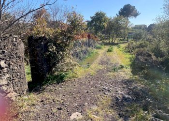 Giardino - Terreno edificabile Via Francesco Guicciardini
snc, Mascalucia - foto 12