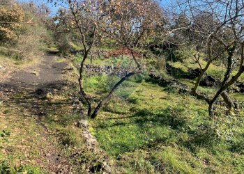 Giardino - Terreno edificabile Via Francesco Guicciardini
snc, Mascalucia - foto 13