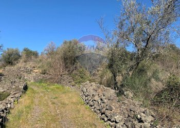 Giardino - Terreno edificabile Via Francesco Guicciardini
snc, Mascalucia - foto 14