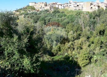 Non correlato - Terreno edificabile Via Catanzaro
144, Valguarnera Caropepe - foto 6