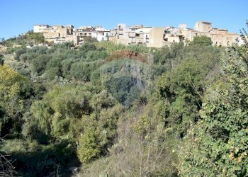 Edificio all\'aperto - Terreno edificabile Via Catanzaro
144, Valguarnera Caropepe - foto 13