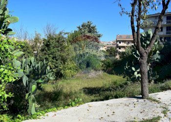 Giardino - Terreno edificabile Via Catanzaro
144, Valguarnera Caropepe - foto 20