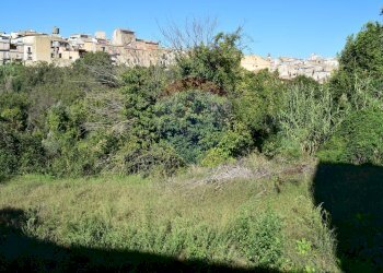 Edificio all\'aperto - Terreno edificabile Via Catanzaro
144, Valguarnera Caropepe - foto 21