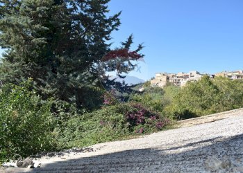 Giardino - Terreno edificabile Via Catanzaro
144, Valguarnera Caropepe - foto 22