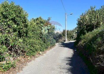 Giardino - Terreno edificabile Via Catanzaro
144, Valguarnera Caropepe - foto 23