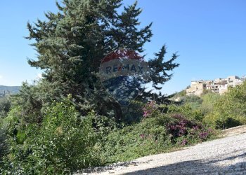 Giardino - Terreno edificabile Via Catanzaro
144, Valguarnera Caropepe - foto 27