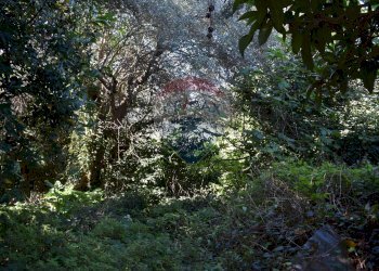 Non correlato - Terreno edificabile Via Catanzaro
144, Valguarnera Caropepe - foto 29