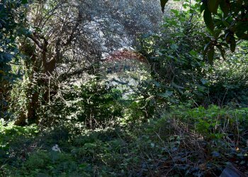 Non correlato - Terreno edificabile Via Catanzaro
144, Valguarnera Caropepe - foto 30