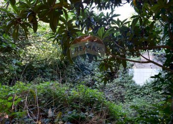 Giardino - Terreno edificabile Via Catanzaro
144, Valguarnera Caropepe - foto 31