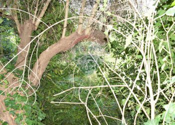 Posizione della mappa - Terreno edificabile Via Catanzaro
144, Valguarnera Caropepe - foto 33