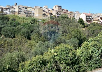 Edificio all\'aperto - Terreno edificabile Via Catanzaro
144, Valguarnera Caropepe - foto 37