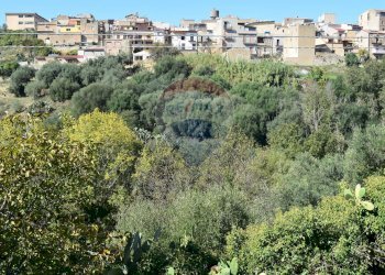 Edificio all\'aperto - Terreno edificabile Via Catanzaro
144, Valguarnera Caropepe - foto 39