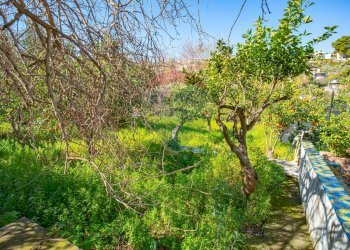 Giardino - Villa Castelluccio
 
sn, Augusta - foto 41