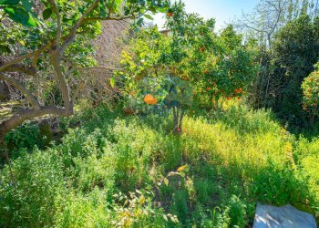 Giardino - Villa Castelluccio
 
sn, Augusta - foto 43