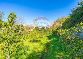 Giardino - Villa Castelluccio
 
sn, Augusta - foto 49