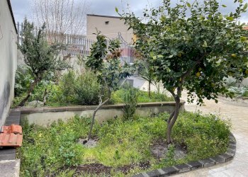 Giardino - Casa indipendente via del voltaire
 
sn, Adrano - foto 2