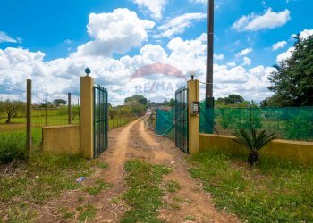 Giardino - Villa C/DA REGALSEMI
 
SN, Caltagirone - foto 1
