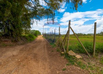 Giardino - Villa C/DA REGALSEMI
 
SN, Caltagirone - foto 2