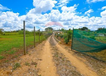 Giardino - Villa C/DA REGALSEMI
 
SN, Caltagirone - foto 3