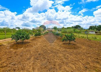 Giardino - Villa C/DA REGALSEMI
 
SN, Caltagirone - foto 4