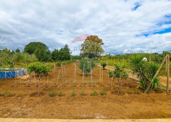 Giardino - Villa C/DA REGALSEMI
 
SN, Caltagirone - foto 6