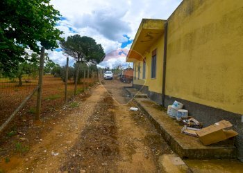 Giardino - Villa C/DA REGALSEMI
 
SN, Caltagirone - foto 29