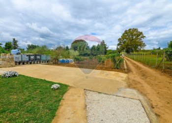 Giardino - Villa C/DA REGALSEMI
 
SN, Caltagirone - foto 36