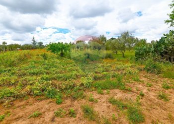 Giardino - Villa C/DA REGALSEMI
 
SN, Caltagirone - foto 37